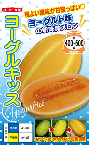 メロン　ヨーグルキッス種子100粒