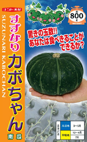 すずなりカボちゃん[種子小袋（約7粒）入り]