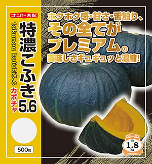カボチャ　特濃こふき5.6(ゴーテンロク)[種子500粒入]