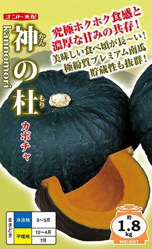 カボチャ　神の杜（かんのもり）[種子小袋 7粒入]