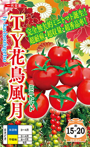 TY花鳥風月(かちょうふうげつ)[種子小袋15粒入]