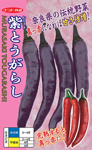 紫とうがらし 種