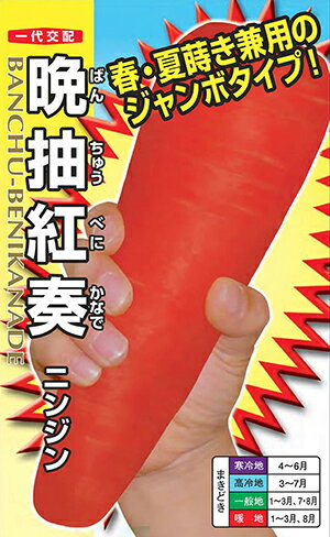 晩抽紅奏(ばんちゅうべにかなで)　 [種子小袋 4ml(約800粒)]