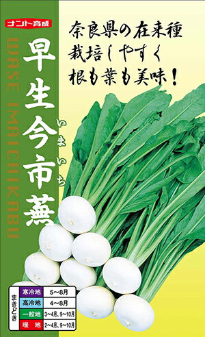 早生今市蕪（わせいまいちかぶ）種子小袋（4ml 約1000粒）