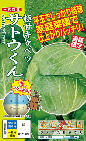 サトウくん「極甘キャベツ」(コーティング種子：40粒)