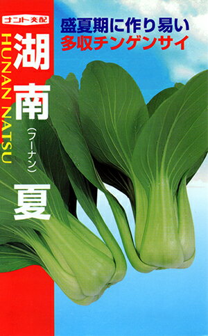 湖南夏チンゲンサイ[種子 小袋3ml入]