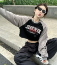 ショート丈 切替 トレーナー 長袖 短い 短め へそ出し ロゴ 刺繍 トップス カットソー ブラック 黒 グレー ダンス 衣装 ヒップホップ HIPHOP レデ...