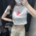 全2色 Tシャツ カットソー 五分 七分 半袖 プリント ショート丈 切り替え スリム 原宿系ファッション 韓国風 ダンス 衣装 ダンサー ヒップホップ HIP...