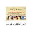 春日 キョンセーム 10×15cm | 本革のクリーニングクロス 正規品