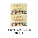 春日 キョンセーム 10×15cm 2枚セット | 本革のクリーニングクロス 正規品
