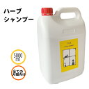C&R ハーブシャンプー 5L アプリケーター付