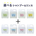 ゾイック Nシリーズ 選べるシャンプー&リンスセット 4000ml×2