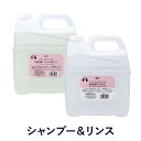 ゾイック Nシリーズ ショートセット 4000ml×2 シャンプー&リンス