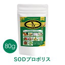 ペット用サプリメント SODプロポリス Lサイズ 80g 細胞の働きを正しくサポート(4)