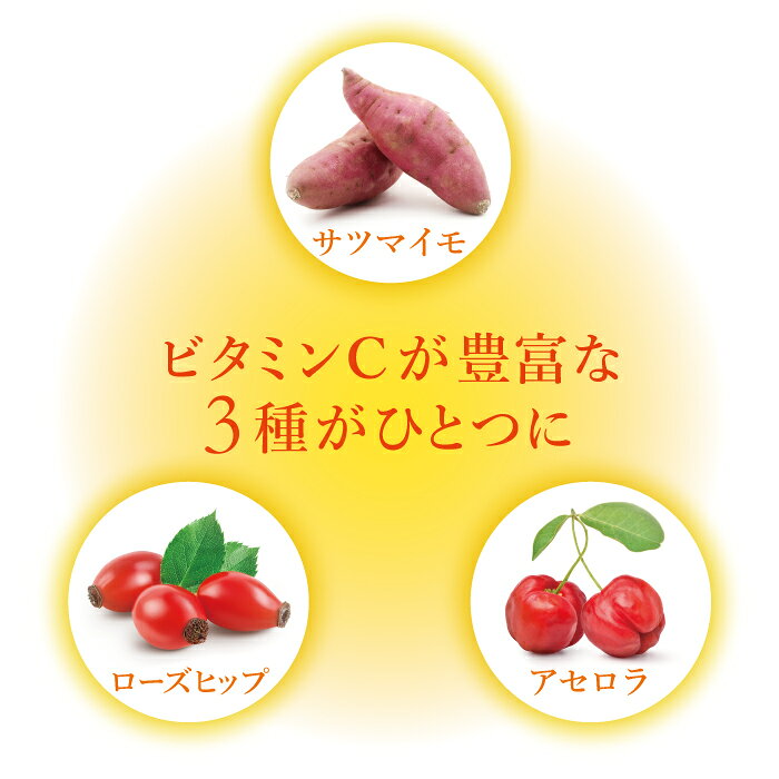 【近日リニューアル予定】ペット用サプリメント ReBORN トリニティC 60g 2個セット kati-on-10002273 有限会社カチオン サンプル画像3