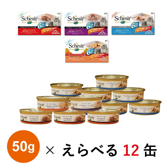 キャットフード　シシア　猫用缶詰　選べる4種類　セット　50g×12　送料無料