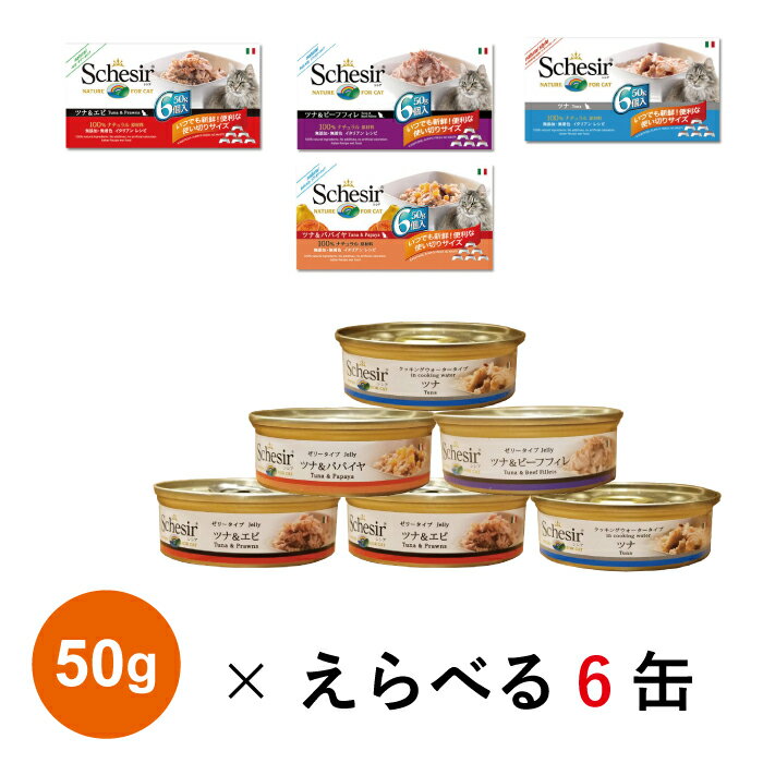 キャットフード シシア 選べる4種類セット 50g 6