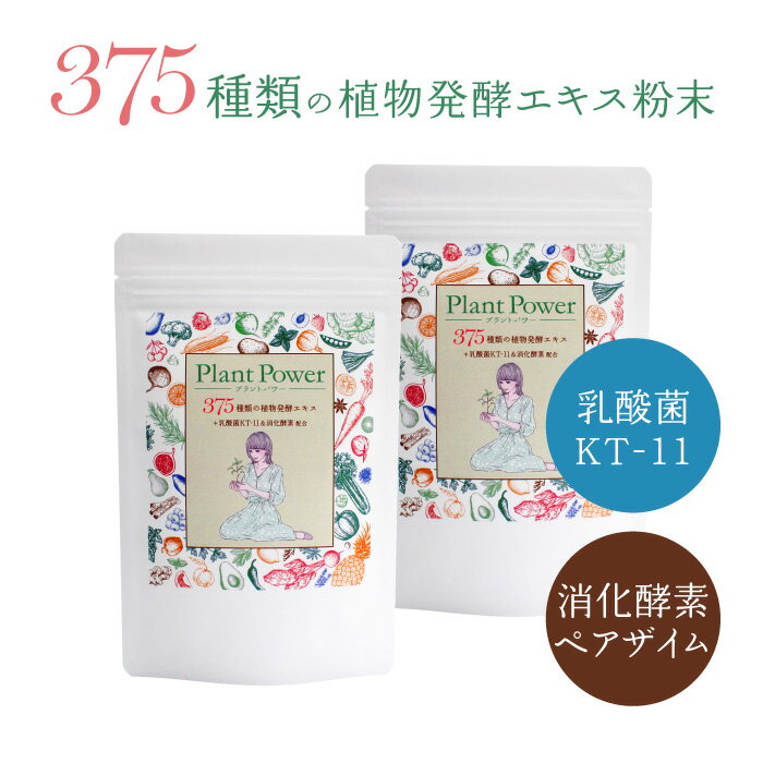 Plant Power　プラントパワー　375種類の植物発酵エキス　＋乳酸菌 KT-11　&　消化酵素 ペアザイム　80g ×2袋