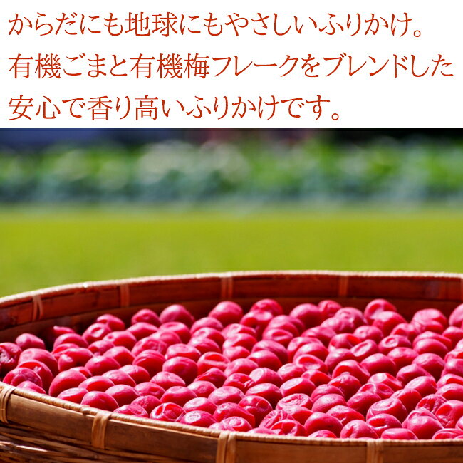 和田萬 有機 ごまと梅 ふりかけ 30g