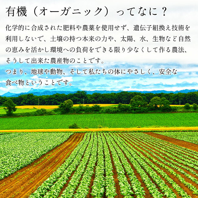 和田萬 有機 白すりごま 50g 2