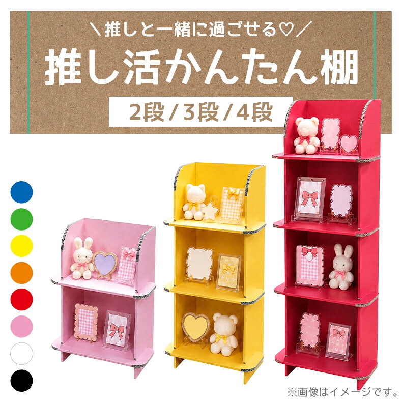 楽天市場】オレンジ（コレクションケース｜コレクション）：ホビーの通販