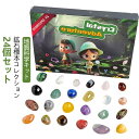 宝石 鉱石 24個セット 鉱石標本24種 クリスマス 天然鉱石 世界の石コレクション おもちゃ 地質科学キット ジェムストーン 岩石標本 ミネラル コレクション...