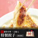 【創作中華 一之船入 特製餃子 12個入×2箱】一之船入 餃子 京都 冷凍 ぎょうざ 人気 売れ筋 点心 中華 セット 中華点心 お惣菜 中華惣菜 お土産 ギフ...