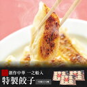 【特製餃子 12個入×3箱】一之船入 餃子 京都 冷凍 ぎょうざ 人気 売れ筋 点心 中華 セット 中華点心 そうざい お惣菜 中華惣菜 お土産 ギフト 取り寄...