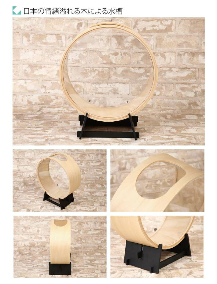 �ڸ�����KATOMOKU ���ȥ⥯ plywood aquarium km-51 ���� ���ȭ �������ꥦ�� �ʤ���ä�