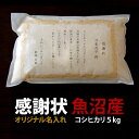 母の日 花以外 世界一重い感謝状 プレゼント 実用的 誕生日 ギフト 名入れ 送料無料 サプライズ 名入れ 感謝状 コシヒカリ 新潟 魚沼産 5kg （5キロ） お米ギフト 令和5年度産 窒素置換パックでお届け