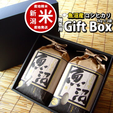 父の日 食べ物 内祝いに 魚沼産 贈答用 お米ギフト コシヒカリ 箱入り 4kg (2kg*2) 【令和元年産】【新潟米】 詰め合わせ 【贈答用】【楽ギフ_包装】【楽ギフ_のし宛書】【送料無料】【新潟県_物産展】