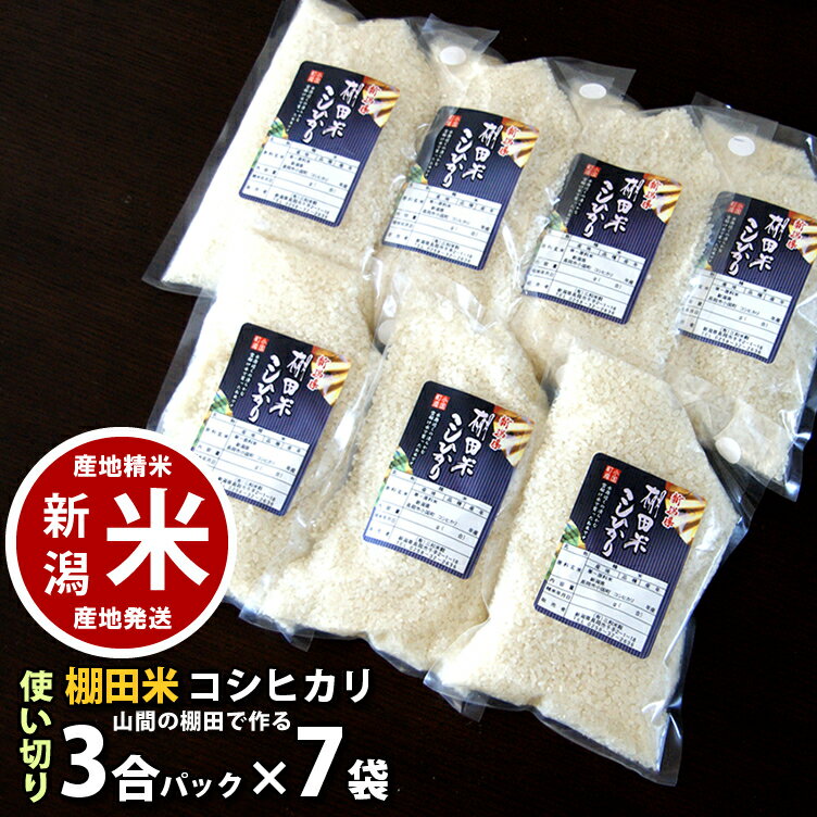 新潟 小国町産 棚田米 コシヒカリ 使いきり 3合パック 7袋セット 単身赴任のお父さんに 令和5年度産 新潟米