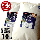 【あす楽】本州送料無料【新潟】小国町産 棚田米 コシヒカリ 10kg（10キロ）【令和元年度産】【5kg*2袋】※品質保持用の窒素置換パック代金を含む【新潟米こしひかり】【楽ギフ_のし宛書】【新潟県_物産展】【RCP】