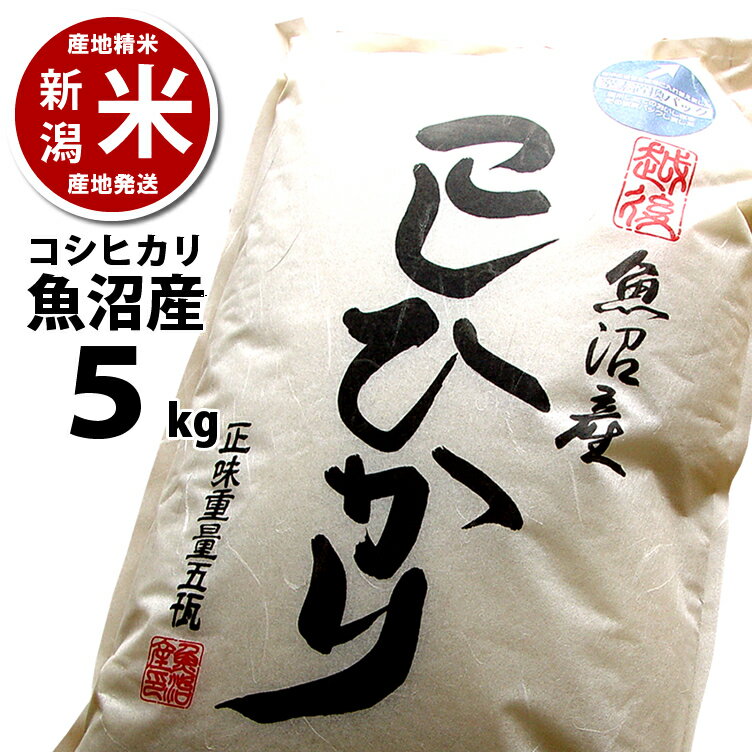 送料無料 【新潟】 魚沼産 コシヒカリ 5kg （5キロ） 窒素置換パックでお届け 令和5年度産 ※品質保持用の窒素置換パック代金を含む【新潟米】