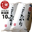 【あす楽】新潟産 コシヒカリ 【令和2年度産】 10キロ【送料無料】 10kg（5kg*2袋）※ 品質保持用の窒素置換パック代金含む【新潟米】【楽ギフ_のし宛書】【新潟県_物産展】【RCP】