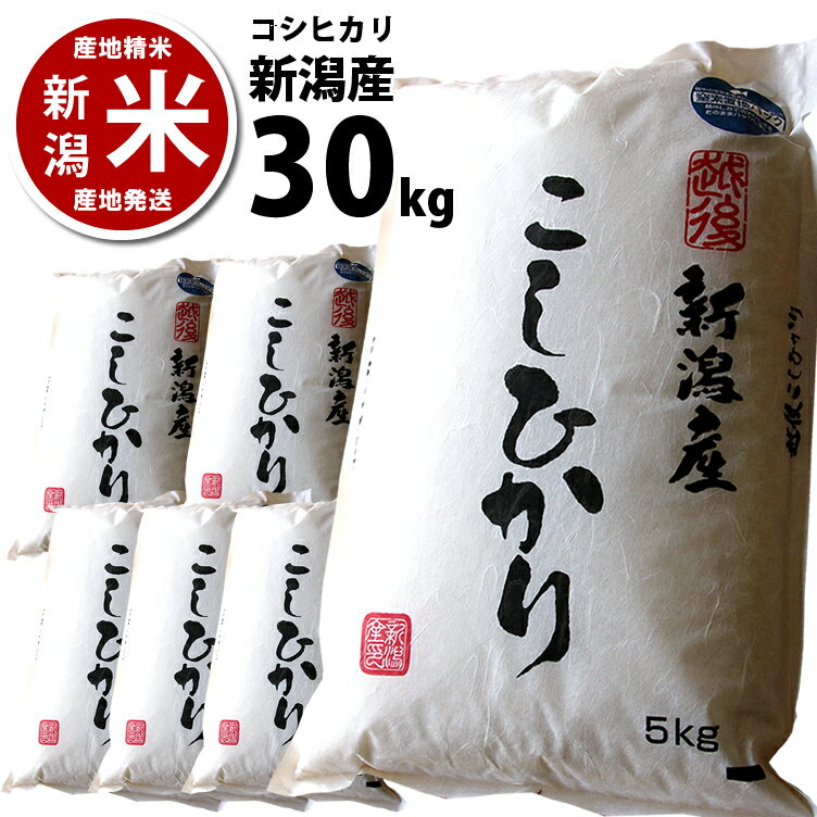 精米済 新潟産 コシヒカリ 30kg （5kg*6） 30キロ 新潟米こしひかり 令和5年度産 ※まとめ買いでも安心の窒素置換パック代金を含む