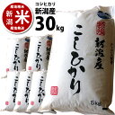 精米済 新潟産 コシヒカリ 30kg （5kg*6） 30キロ 新潟米こしひかり 令和5年度産 ※まとめ買いでも安心の窒素置換パック代金を含む 1