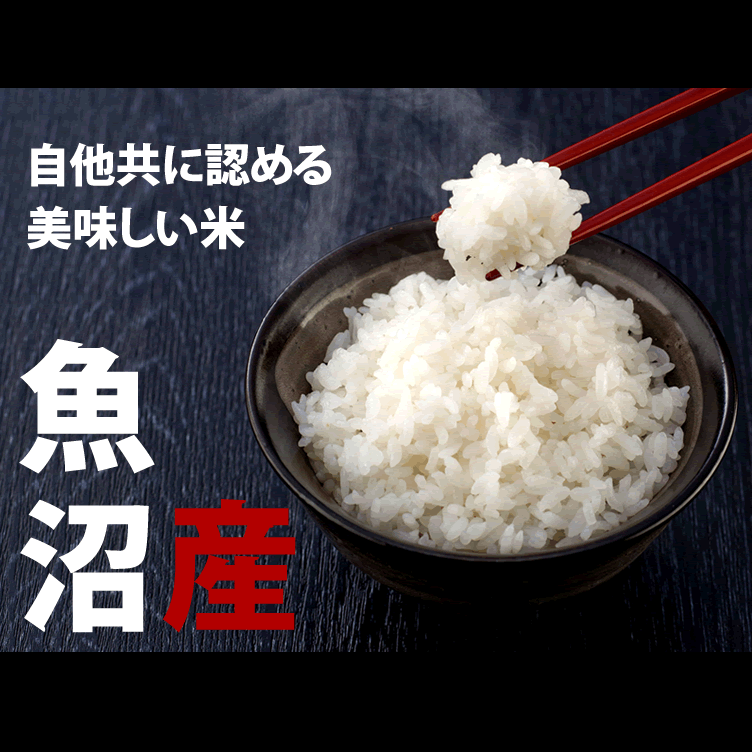 父の日 食べ物 内祝いに 魚沼産 贈答用 お米ギフト コシヒカリ 箱入り 4kg (2kg*2) 【令和元年産】【新潟米】 詰め合わせ 【贈答用】【楽ギフ_包装】【楽ギフ_のし宛書】【送料無料】【新潟県_物産展】