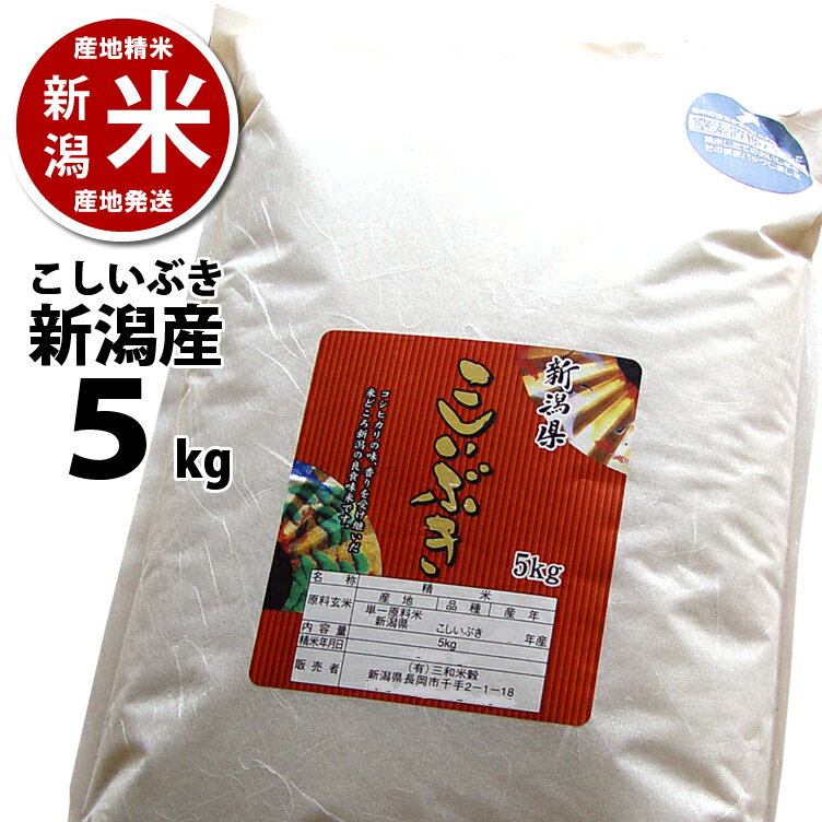 新潟県産 こしいぶき 5kg【あす楽】【令和元年産】【本州送料無料】 ※ 品質保持用の窒素置換パック代金含む【新潟米】【楽ギフ_のし宛書】【RCP】