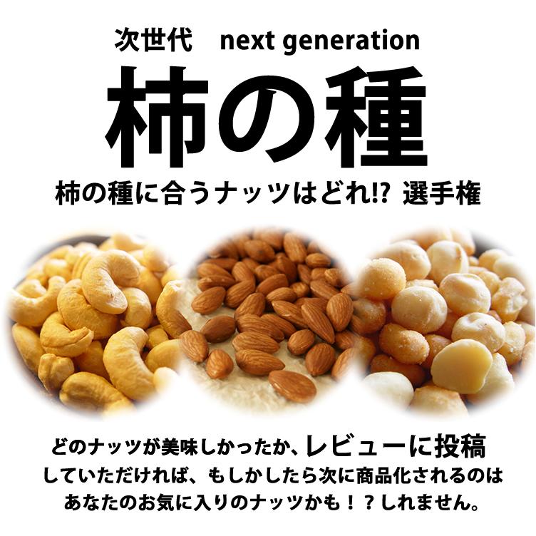 【今だけ★10％オフ】本当に柿の種に合うナッツはどれ？選手権 おつまみ 豪華なナッツを食べくらべ 送料無料 訳あり 簡易包装 GLP-1 アーモンド カシューナッツ マカダミアナッツ【メール便】【新潟 加藤製菓】【 あられ おかき 】 2