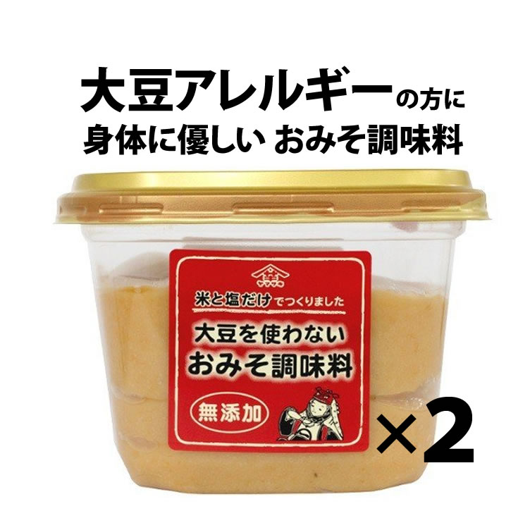 【大豆アレルギーの方に】大豆を使わないおみそ調味料【送料無料】無添加 600g×2個セット 山崎醸造 熟成塩こうじ 味噌 新潟【その他】