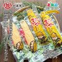 北海道産 キョクトー レトルトとうもろこし スイートコーン 2本/ピュアホワイト 2本 計4本【全国送料無料】黄色トウモロコシ イエローコーン 白色 白いトウモロコシ ホワイトコーン 旭川市 大雪山 雪解け 湧き水 軸付 真空パック 常温保存 長期保存 防災 備蓄