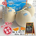 産地直送! 北海道産 富良野メロン 秀 特大サイズ(約2.6kg) 3玉入【全国送料無料】<常温><冷蔵> 北海道富良野市 ブランドメロン 瑞々しい ジューシー...