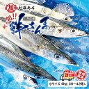 入荷順発送! 北海道産 鮮さんま 小サイズ 1箱 (4kg/36〜42尾入(1尾約90〜110g)) 【全国送料無料】<冷蔵> 生さんま 旬の味 脂 時期 産地...