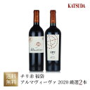 ワインセット Opus oneとChateau Mouton Rothschildと同じコンセプトで造られるチリ最高峰のワイン《アルマヴィーヴァAlmaviva 2020》ファーストラベル＆セカンドラベル 2本セット 赤ワイン 福袋 送料無料