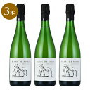 アルマン ハイツ クレマン ド ブルゴーニュ ブラン ド ノワール 2019 Armand Heitz Cremant de Bourgogne Blanc de Noirs フランス ブルゴーニュ スパークリングワイン 新入荷 3本セット【夏ギフト対象】