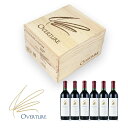 オーヴァチャー 2021 6本セット オーパスワンのセカンド オーバーチュア オーヴァーチュア Opus One Overture アメリカ カリフォルニア 赤...