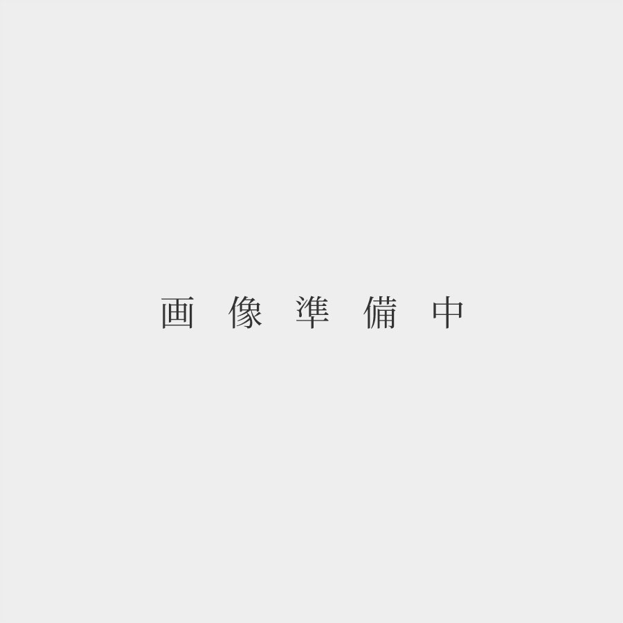 楽天KATSUDA 勝田商店 銘醸ワイン専門【最大2,000円OFFクーポン】オリヴィエ バーンスタイン ジュヴレ シャンベルタン 2010 ラベル不良 Olivier Bernstein Gevrey Chambertin フランス ブルゴーニュ 赤ワイン 新入荷