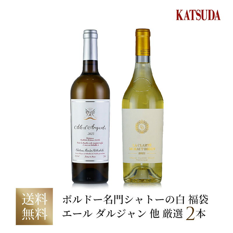 《クーポン|24日20時～》【第4弾】ワインセット ボルドー 白ワイン エール ダルジャン、ラ クラルテ ド オー ブリオン ブラン《名門シャトーの稀少な白》極上2本 福袋