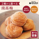 【送料無料】選べる2種の南高梅(はちみつ梅・白干し梅) 800g 400g 塩分19% 塩分8% 無添加 塩のみで漬けた紀州南高梅 はちみつ 白干し梅 はちみつ...